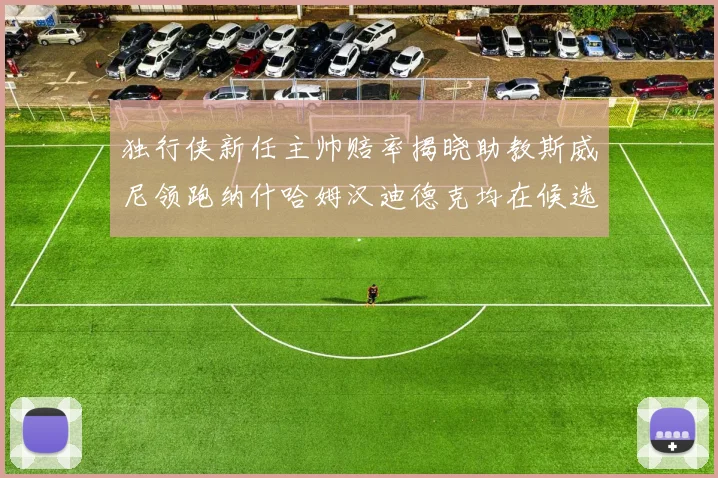 独行侠新任主帅赔率揭晓助教斯威尼领跑纳什哈姆汉迪德克均在候选之中
