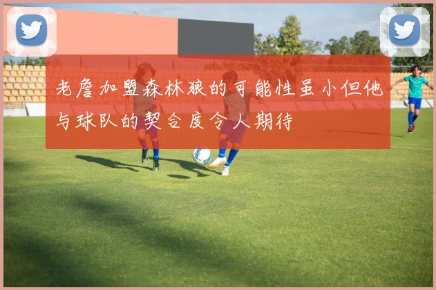 老詹加盟森林狼的可能性虽小但他与球队的契合度令人期待